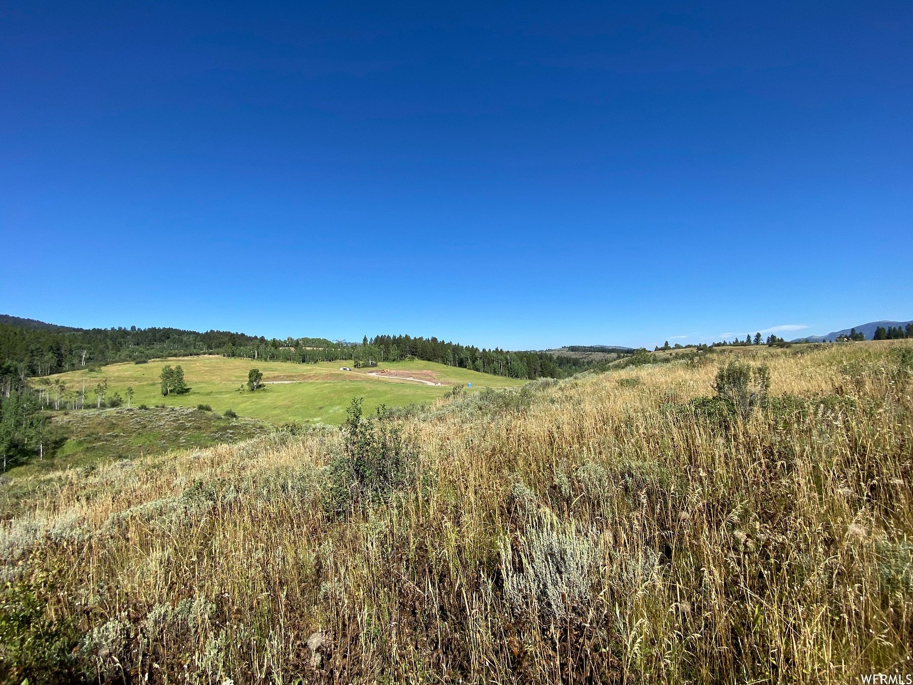 5 Acres of Residential Land for Sale in Wayan, Idaho