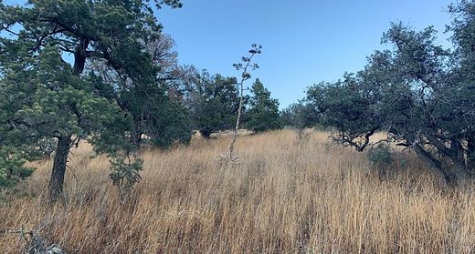 31.8 Acres of Land for Sale in Fort Davis, Texas