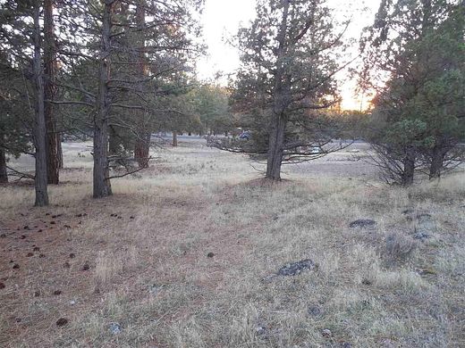 0.3 Acres of Residential Land for Sale in Weed, California