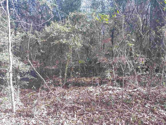 62.7 Acres of Land for Sale in Greenwell Springs, Louisiana