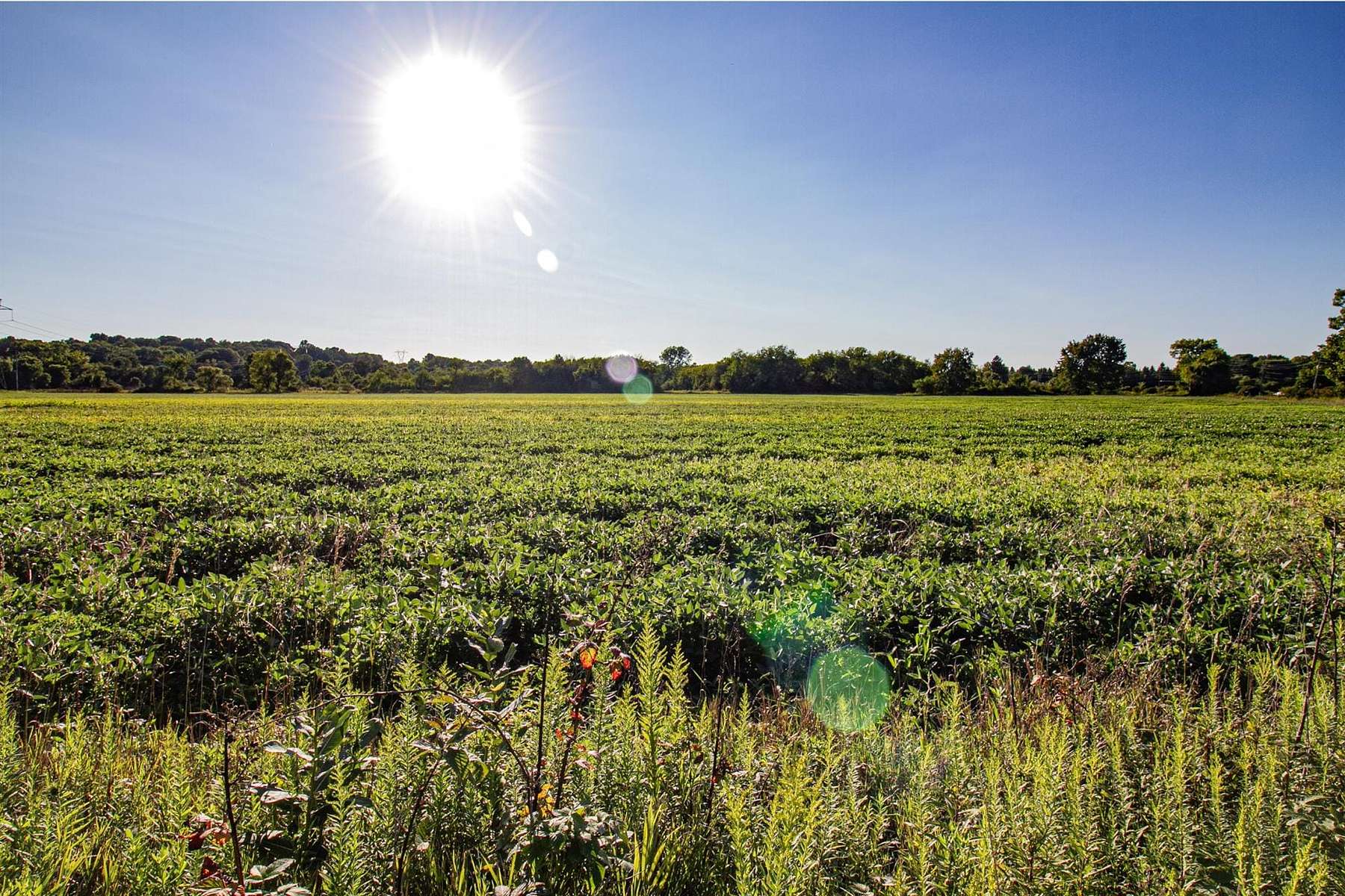 15.8 Acres of Recreational Land for Sale in North Canton, Ohio