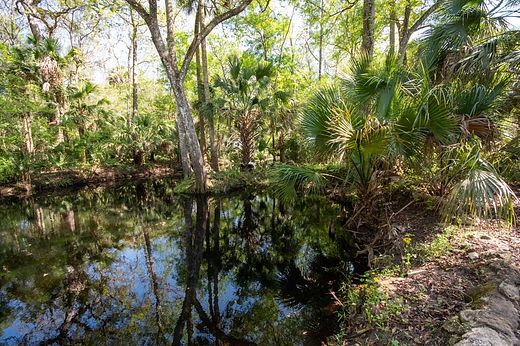0.58 Acres of Land for Sale in Steinhatchee, Florida