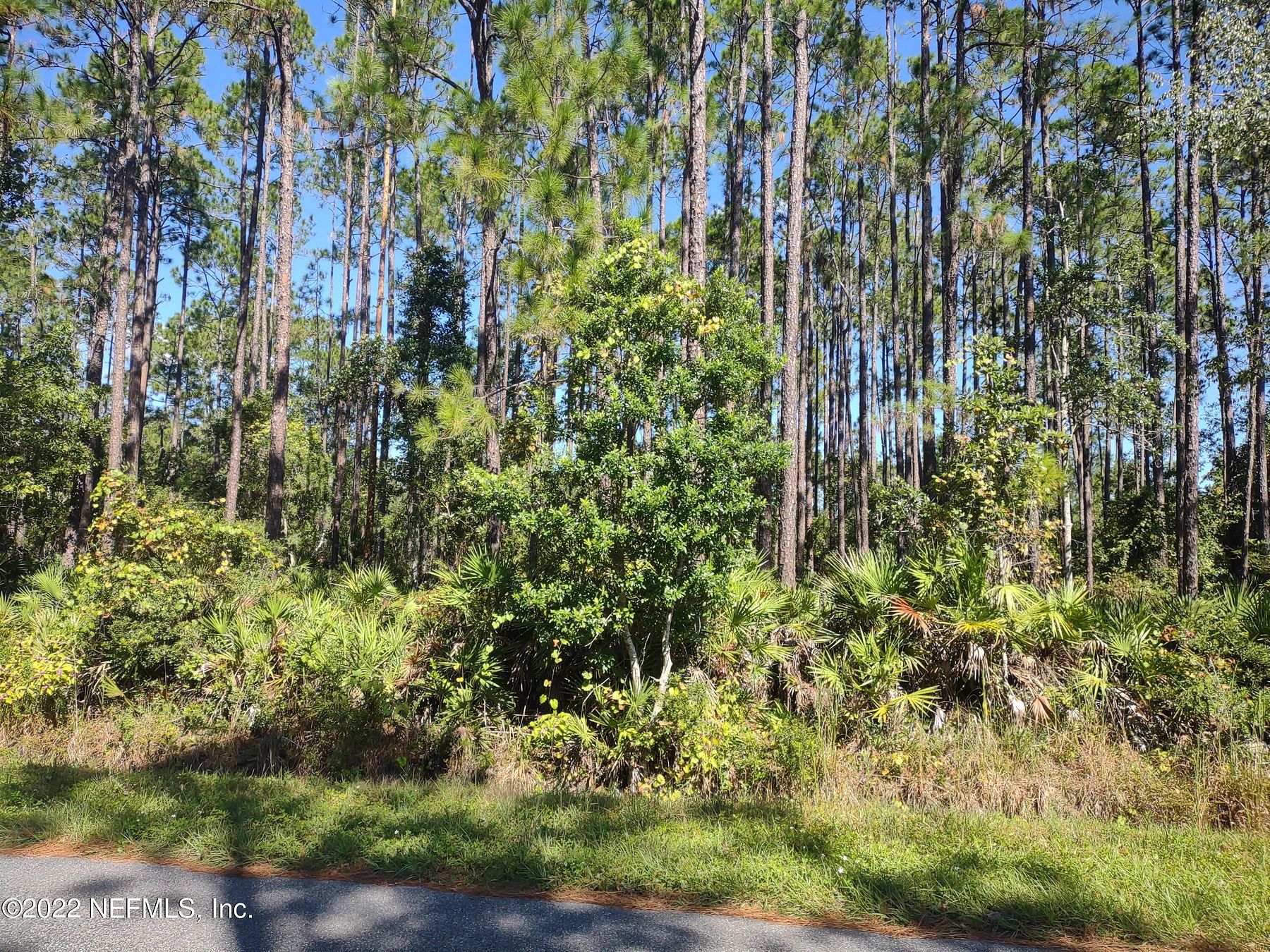0.92 Acres of Land for Sale in Interlachen, Florida