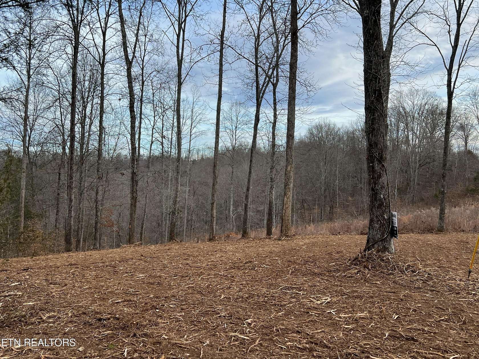 2 Acres of Land for Sale in Speedwell, Tennessee