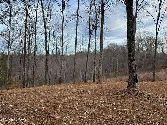 2 Acres of Residential Land for Sale in Speedwell, Tennessee