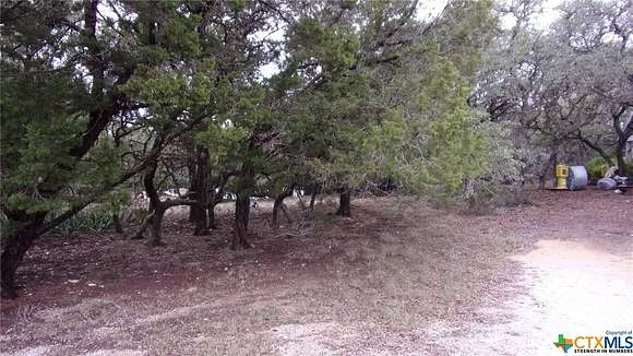 0.394 Acres of Residential Land for Sale in Canyon Lake, Texas