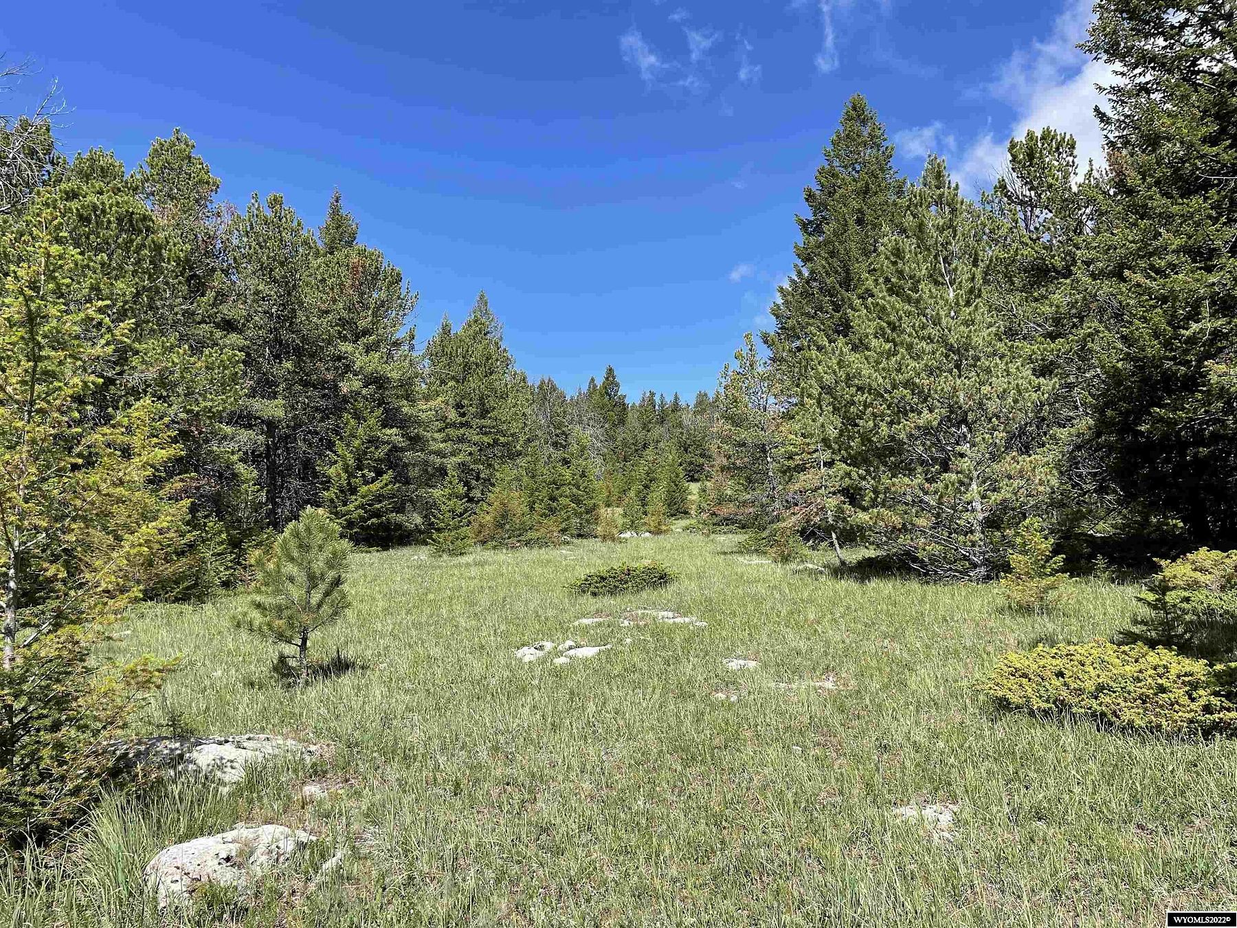 71 Acres of Recreational Land for Sale in Buffalo, Wyoming
