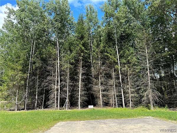 0.4 Acres of Land for Sale in Allegany, New York