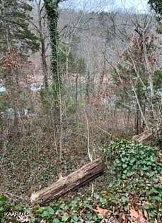 0.41 Acres of Land for Sale in Jacksboro, Tennessee