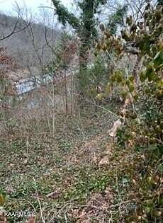 0.41 Acres of Land for Sale in Jacksboro, Tennessee