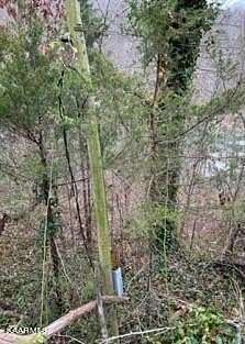 0.41 Acres of Land for Sale in Jacksboro, Tennessee