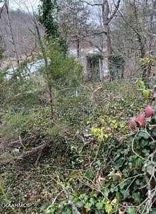 0.41 Acres of Land for Sale in Jacksboro, Tennessee