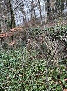 0.41 Acres of Land for Sale in Jacksboro, Tennessee