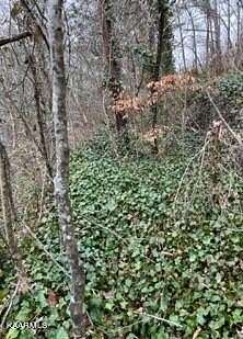 0.41 Acres of Land for Sale in Jacksboro, Tennessee