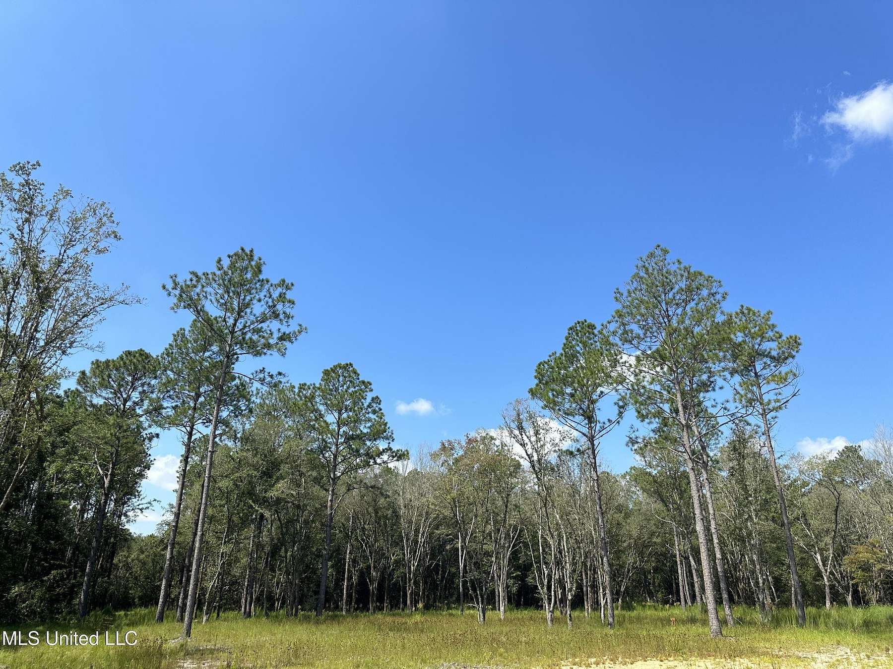 4.8 Acres of Residential Land for Sale in Moss Point, Mississippi