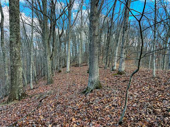 70.1 Acres of Recreational Land for Sale in Orma, West Virginia