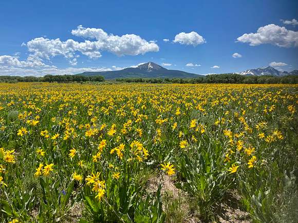 2,239 Acres of Improved Recreational Land & Farm for Sale in Placerville, Colorado