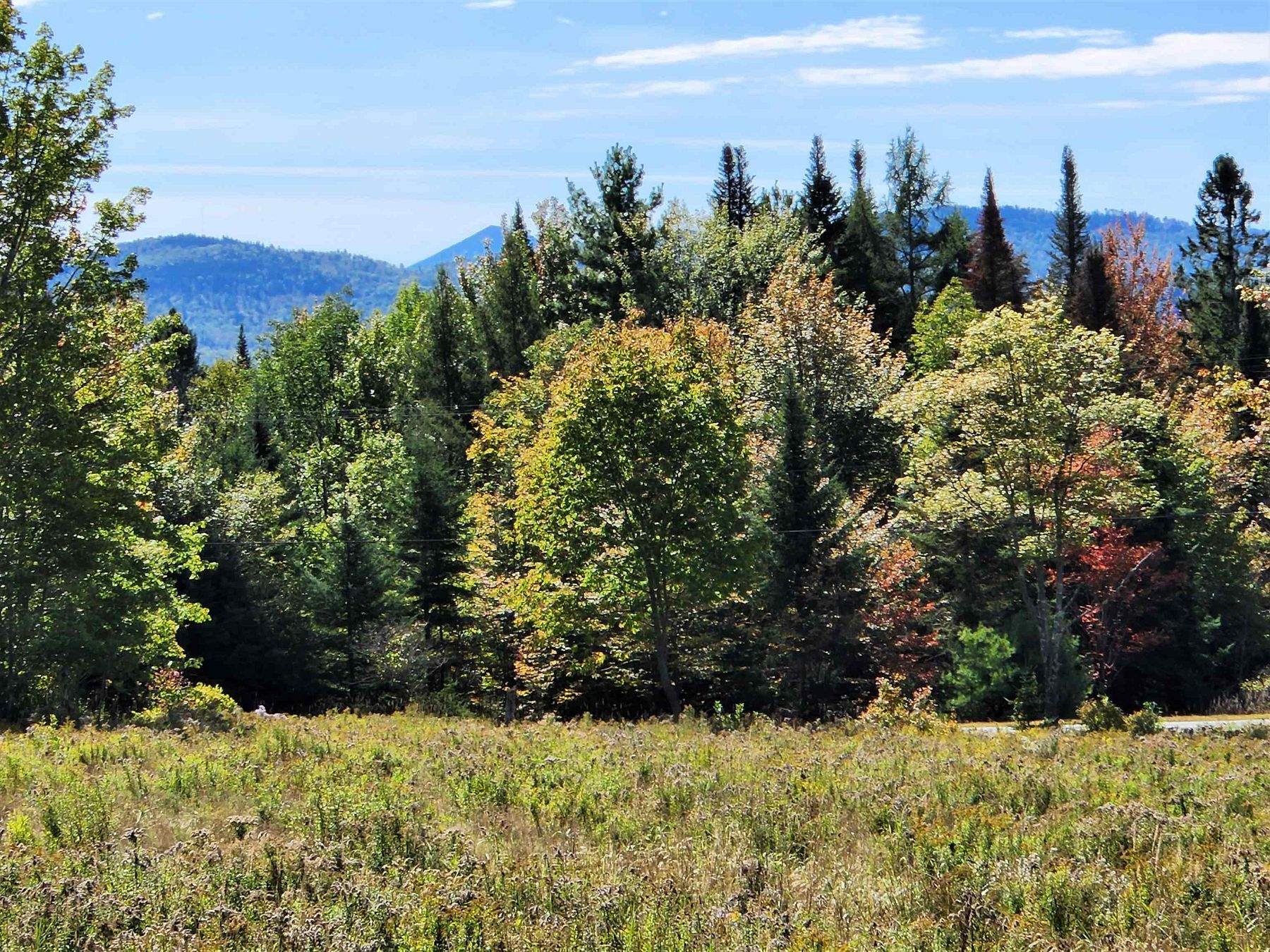 30 Acres of Land for Sale in Lunenburg, Vermont