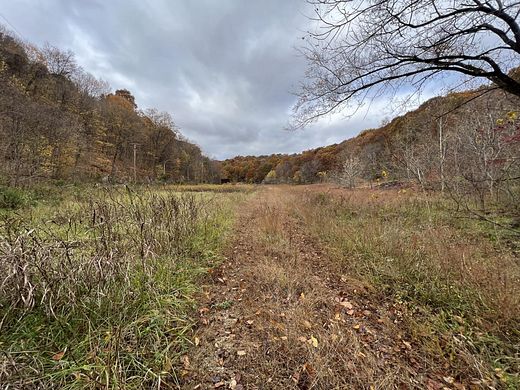 113 Acres of Land for Sale in Greenup, Kentucky