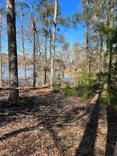 1.2 Acres of Residential Land for Sale in Camden, Alabama