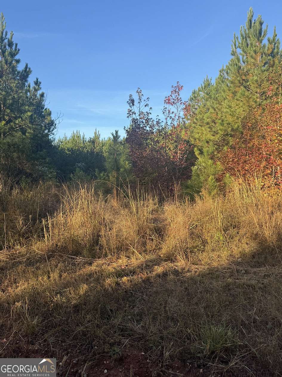 58.9 Acres of Recreational Land for Sale in Monticello, Georgia