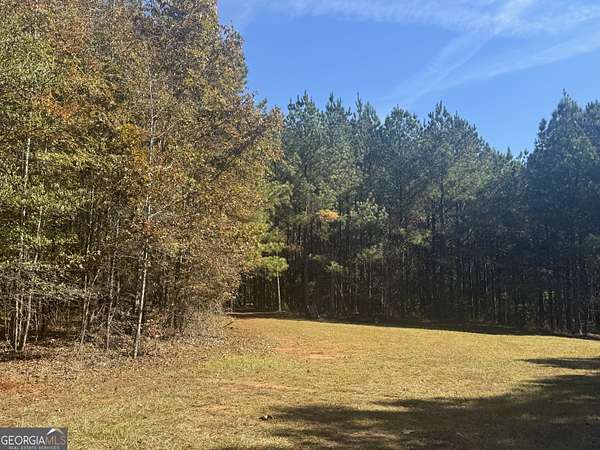 217 Acres of Recreational Land for Sale in Monticello, Georgia