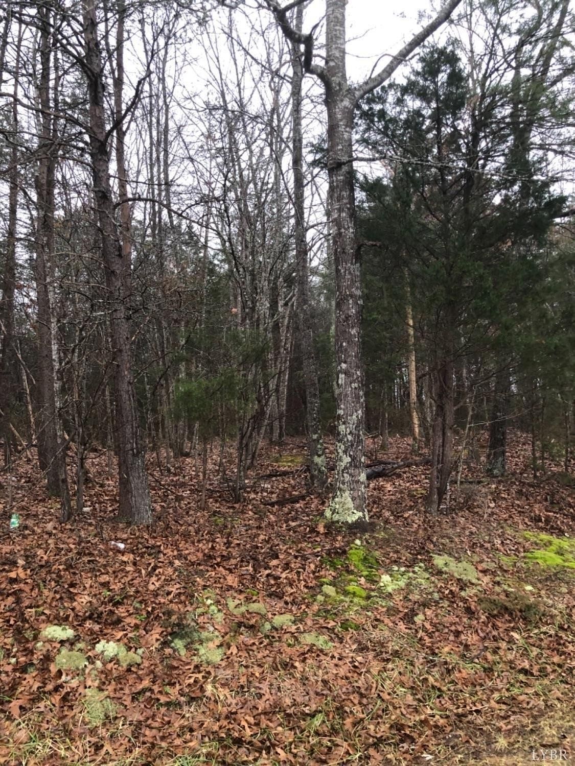 2 Acres of Land for Sale in Gladys, Virginia