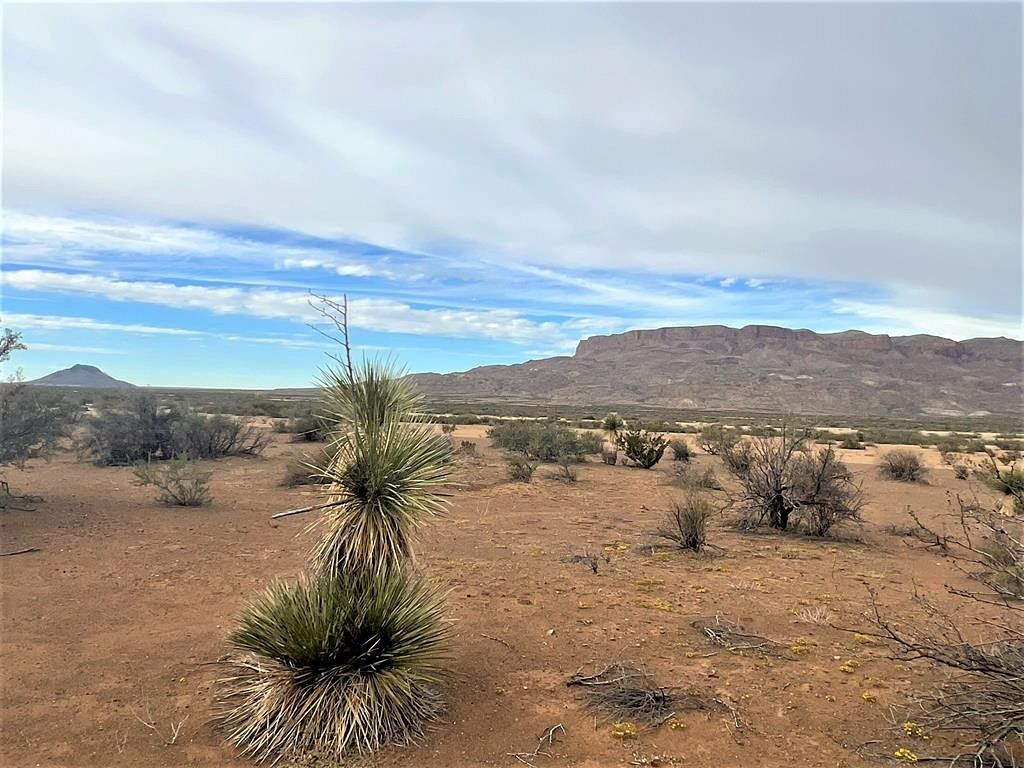110 Acres of Land for Sale in Terlingua, Texas