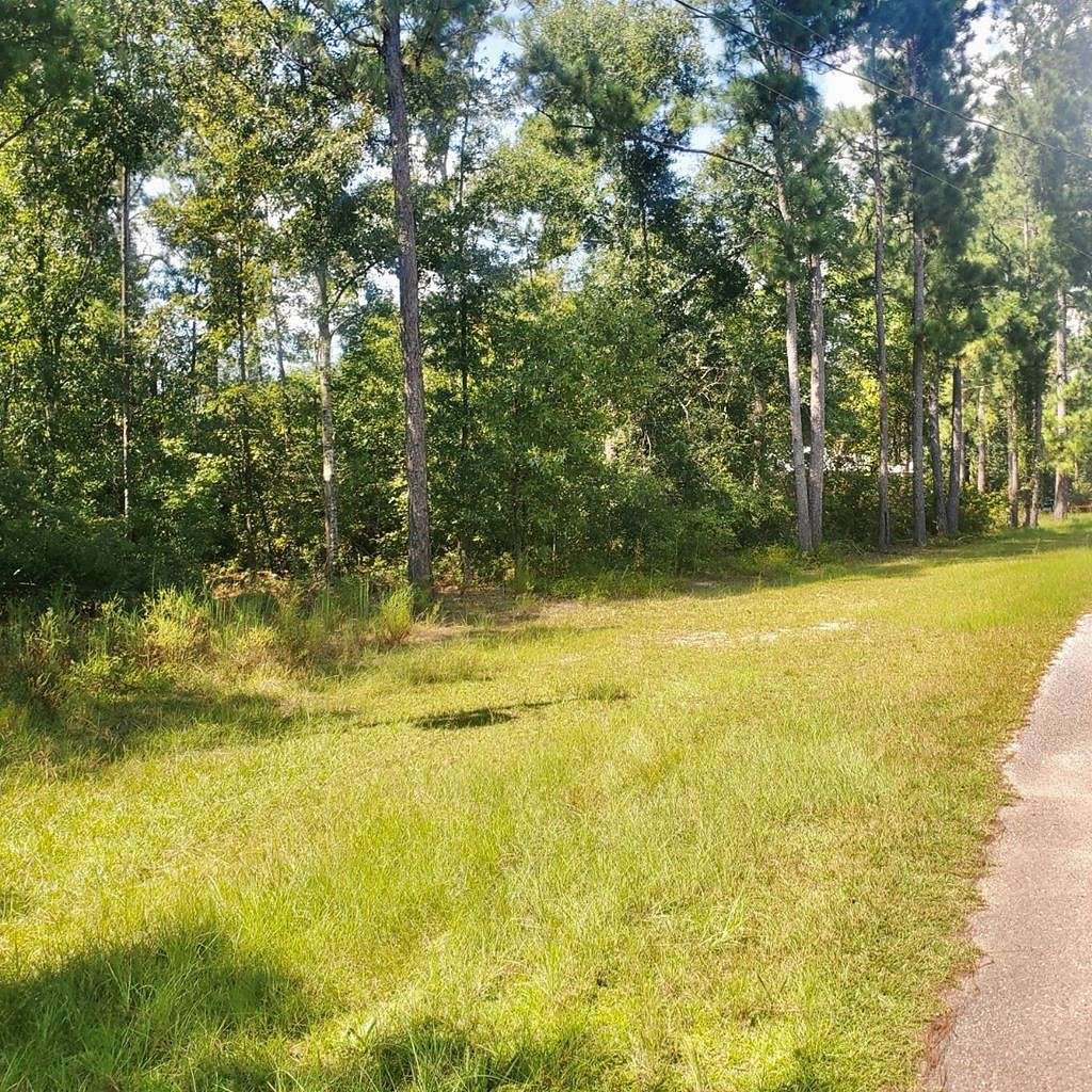 1 Acre of Residential Land for Sale in Bainbridge, Georgia