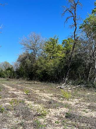 10 Acres of Land for Sale in Lexington, Texas