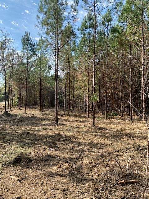 6 Acres of Land for Sale in Smithdale, Mississippi