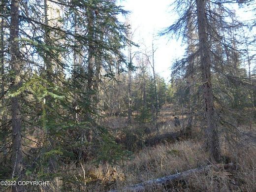 40.1 Acres of Land for Sale in Kenai, Alaska