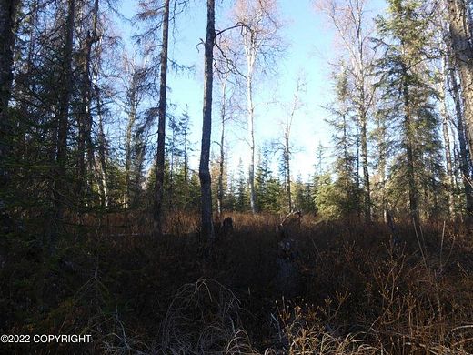 40.05 Acres of Land for Sale in Kenai, Alaska - LandSearch