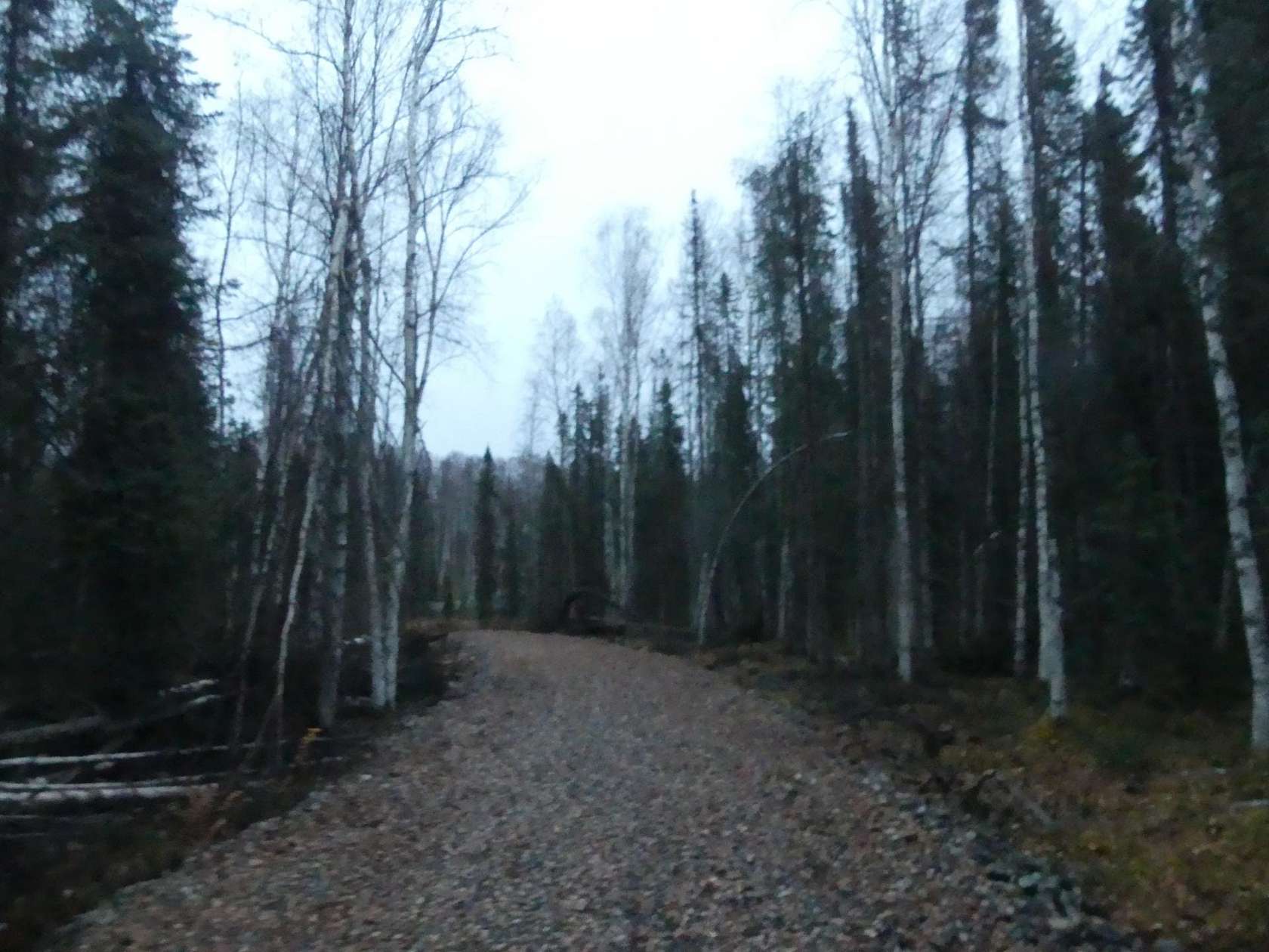 8.6 Acres of Recreational Land for Sale in Willow, Alaska