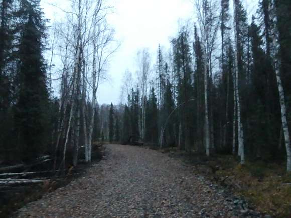 8.6 Acres of Recreational Land for Sale in Willow, Alaska