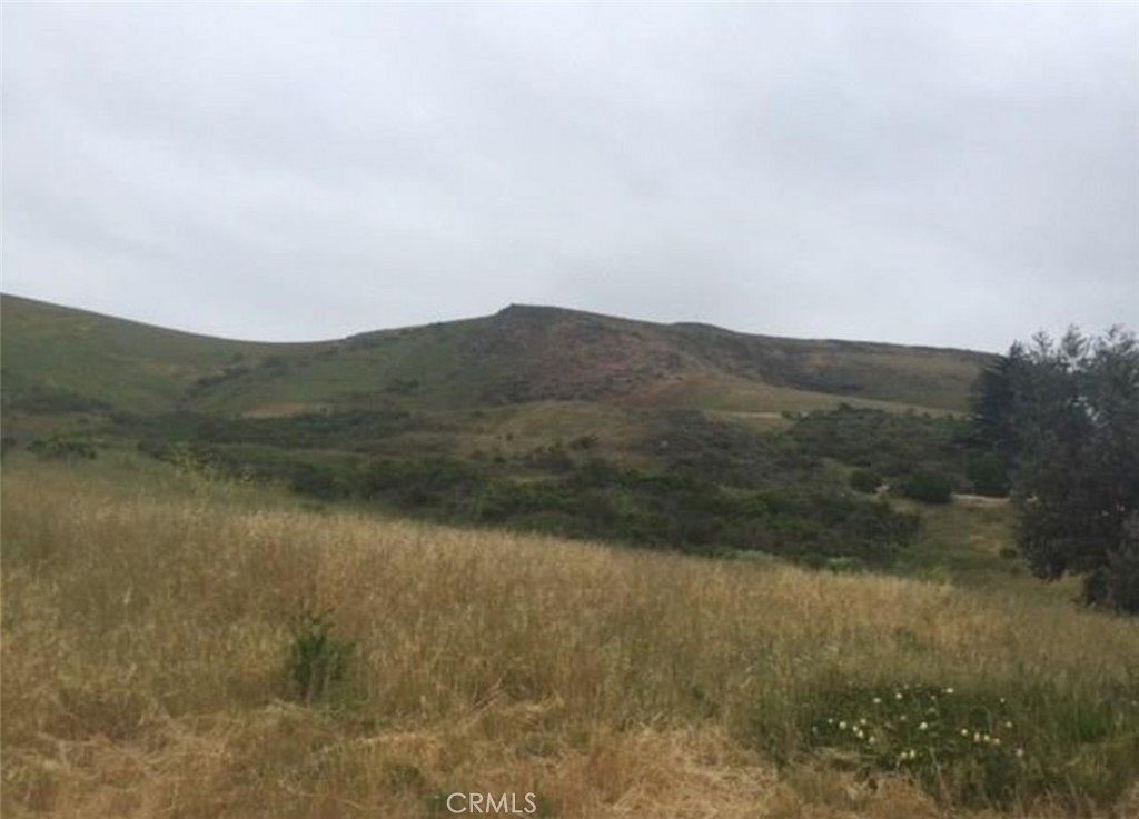 0.1 Acres of Land for Sale in Cayucos, California