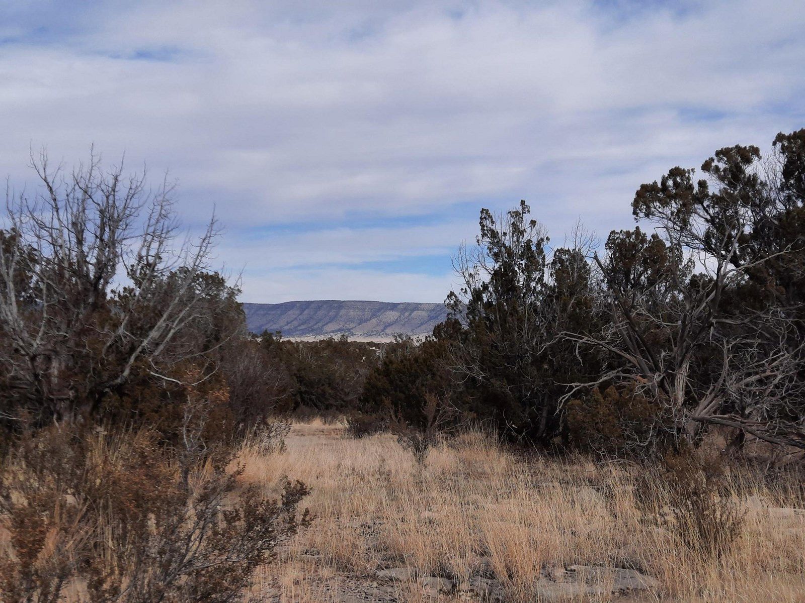 1.1 Acres of Land for Sale in Seligman, Arizona