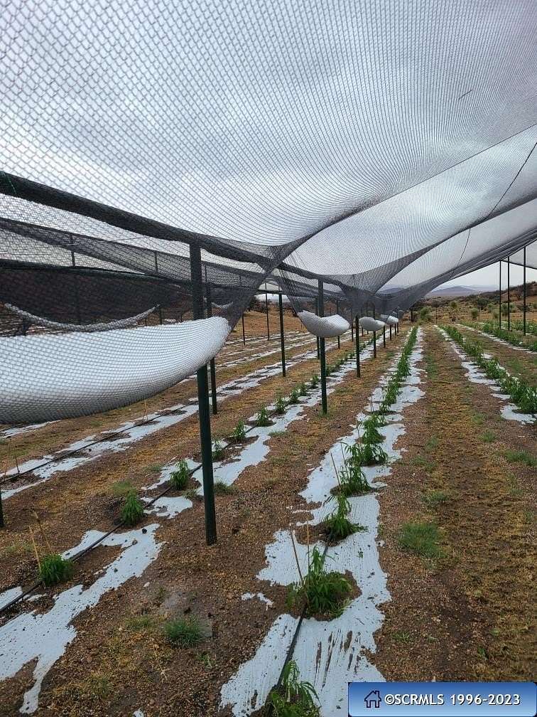 527 Acres of Agricultural Land for Sale in Silver City, New Mexico