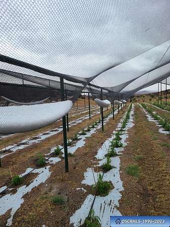 527 Acres of Agricultural Land for Sale in Silver City, New Mexico