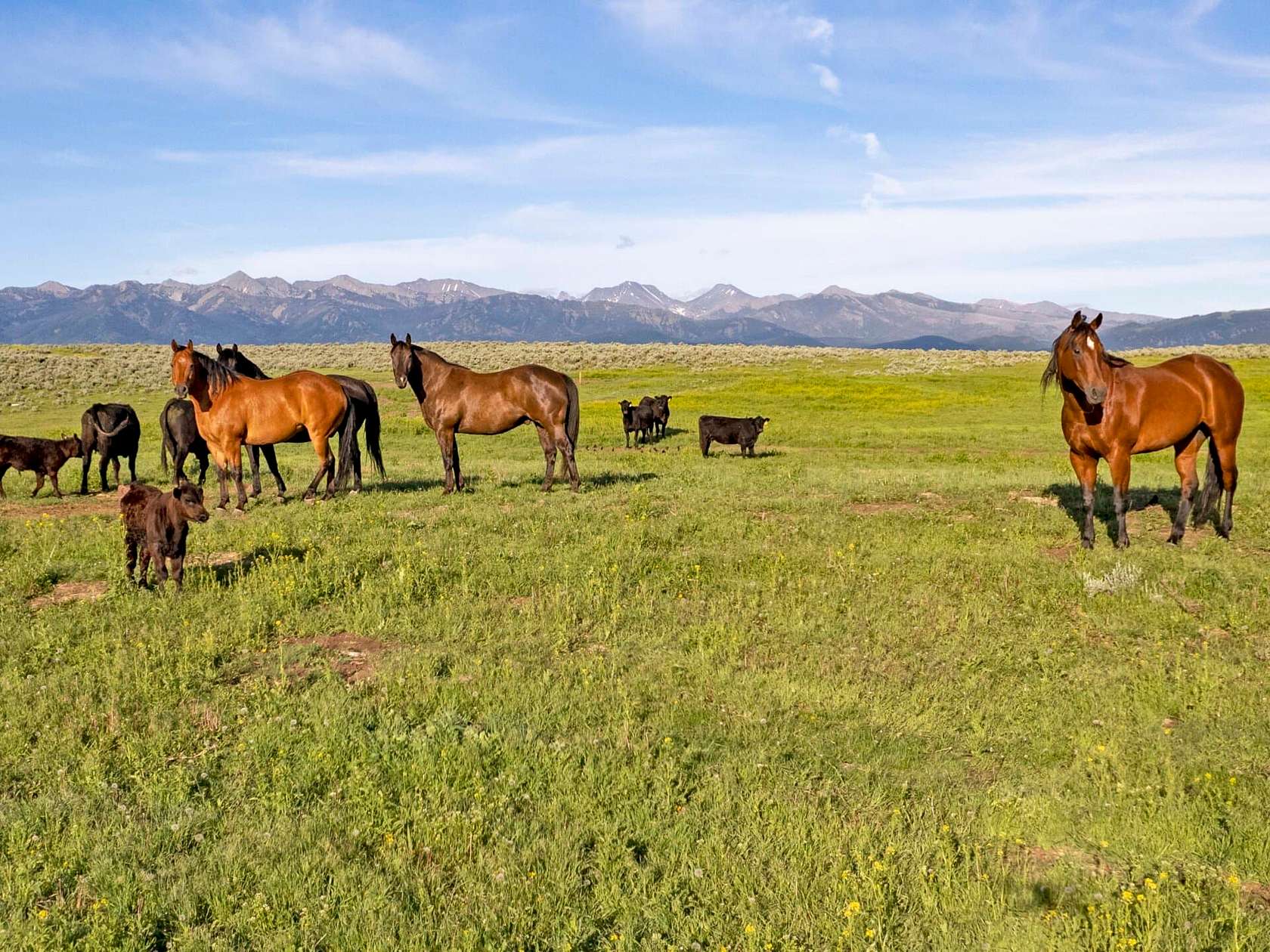 160 Acres of Recreational Land & Farm for Sale in Wilsall, Montana