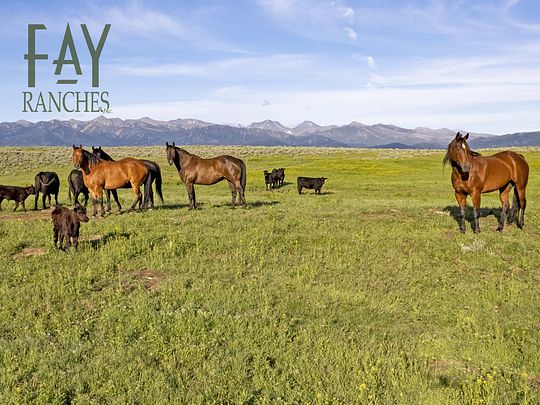 160 Acres of Recreational Land & Farm for Sale in Wilsall, Montana