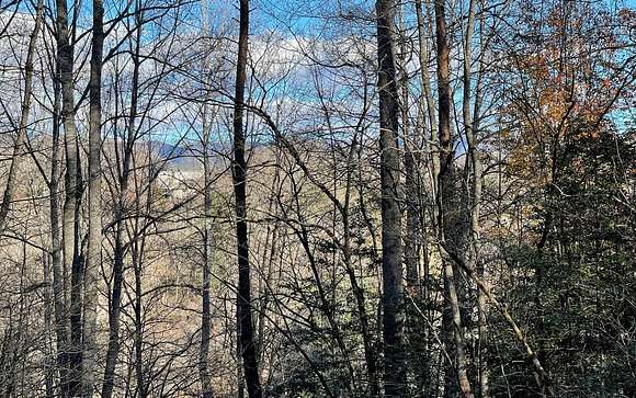0.56 Acres of Residential Land for Sale in Hayesville, North Carolina