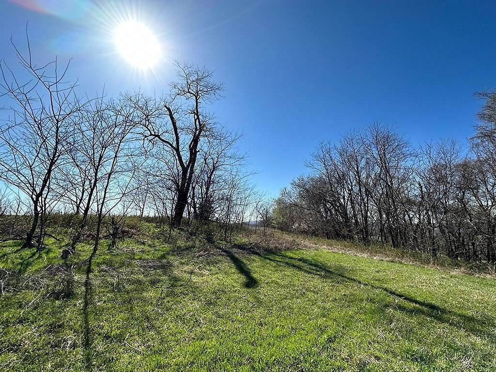 14 Acres of Recreational & Residential Land for Sale in Canehill, Arkansas