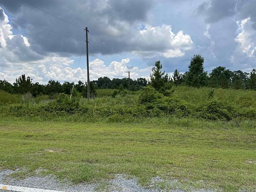 24.3 Acres of Agricultural Land for Sale in Dublin, Georgia