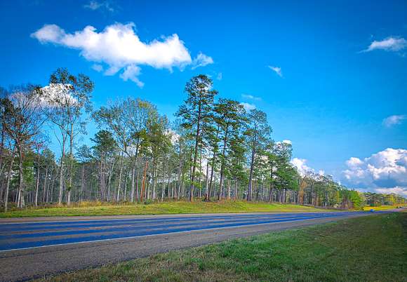 56 Acres of Recreational Land for Sale in Jasper, Texas