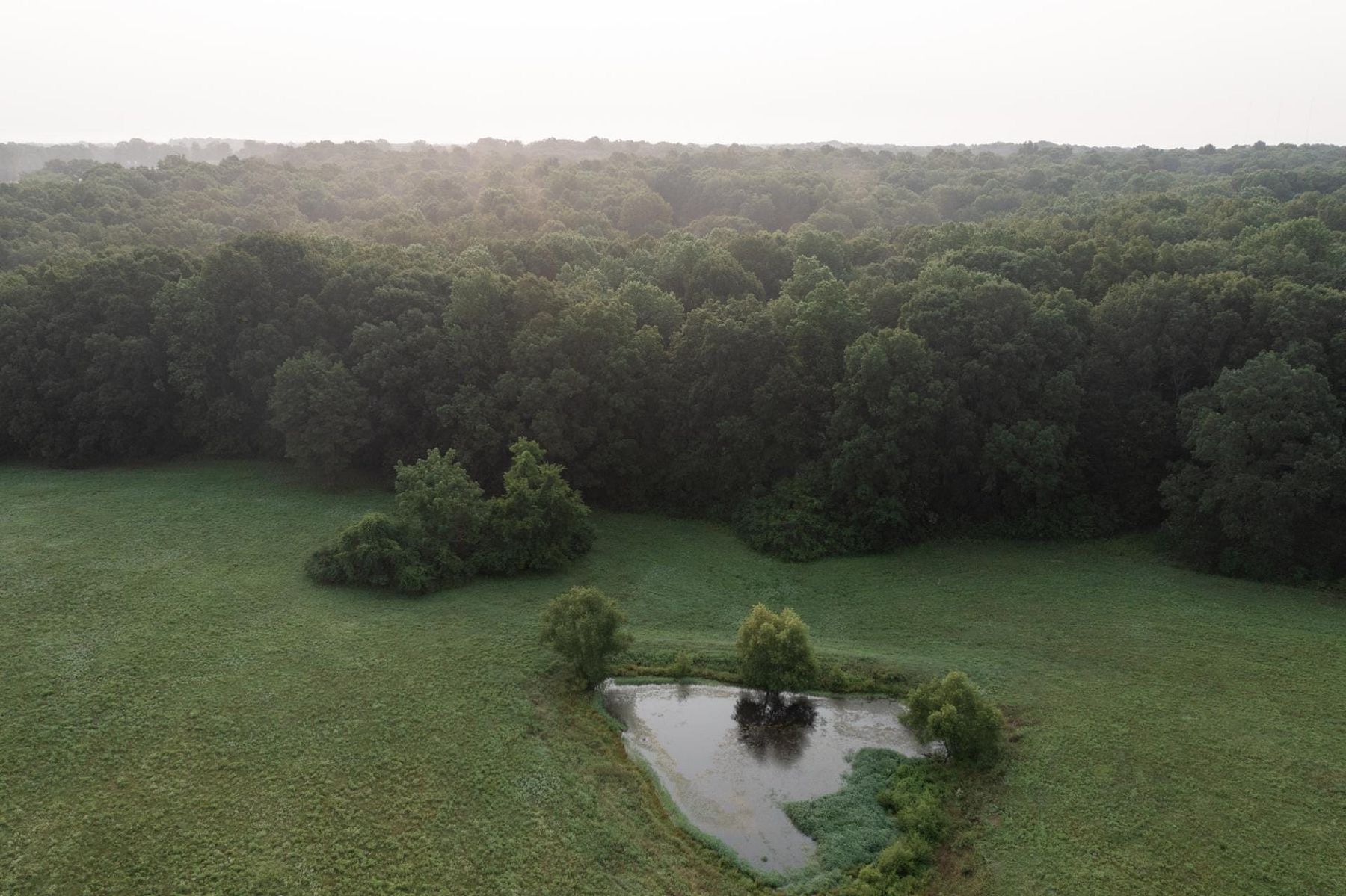105 Acres of Recreational Land & Farm for Sale in White Bluff, Tennessee