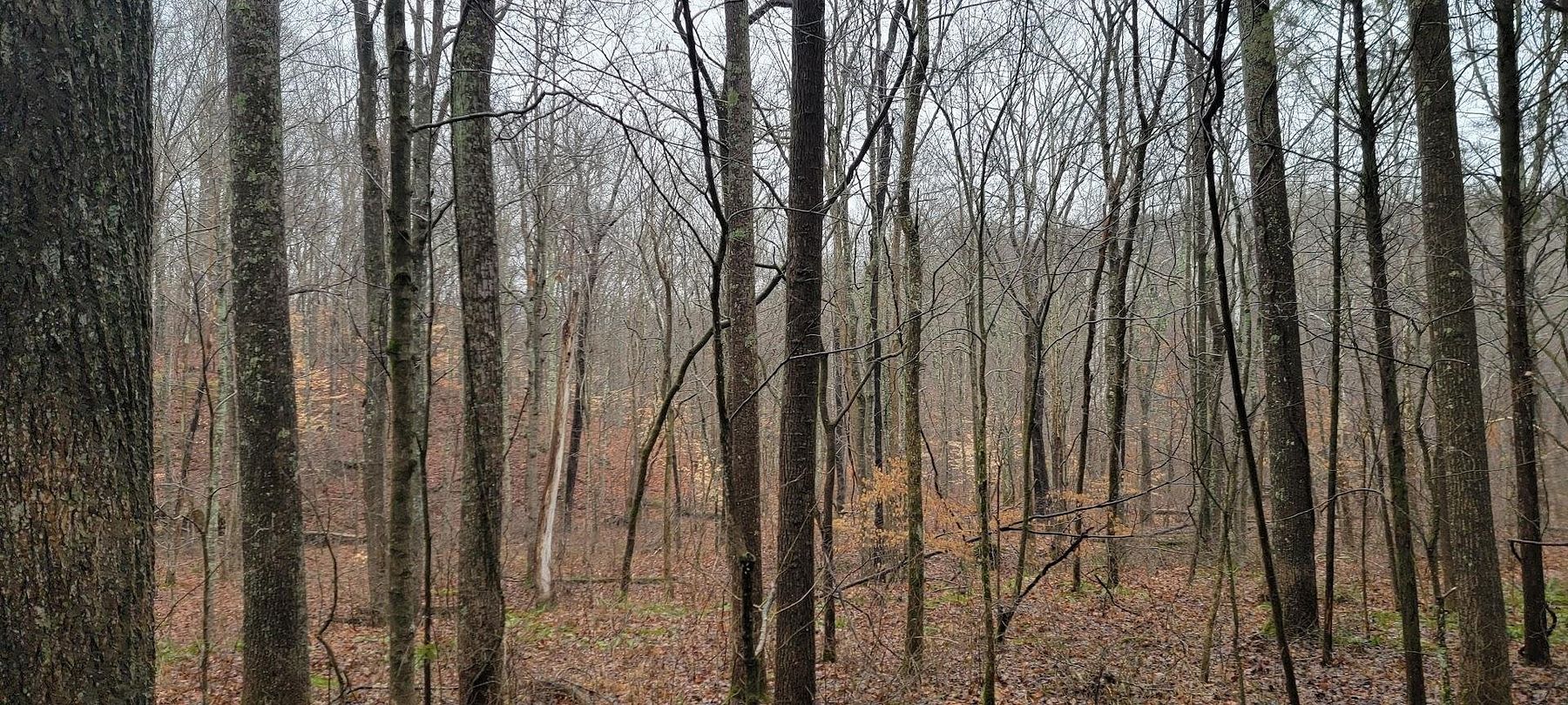 40 Acres of Recreational Land for Sale in Leavenworth, Indiana LandSearch