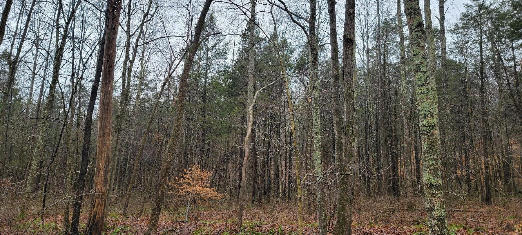 40 Acres of Recreational Land for Sale in Leavenworth, Indiana LandSearch