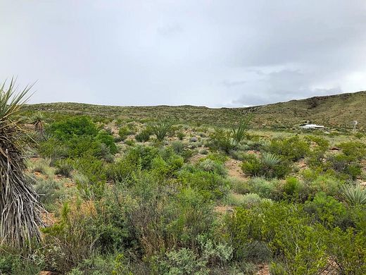 20 Acres of Land for Sale in Terlingua, Texas