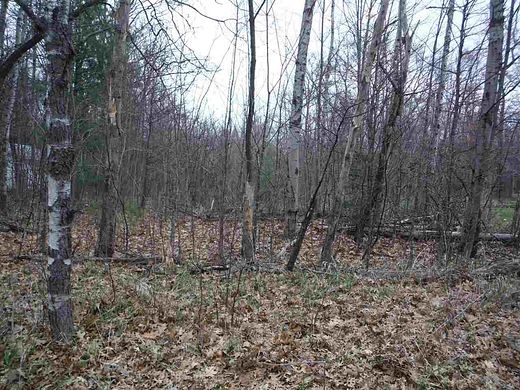 Residential Land for Sale in Prudenville, Michigan